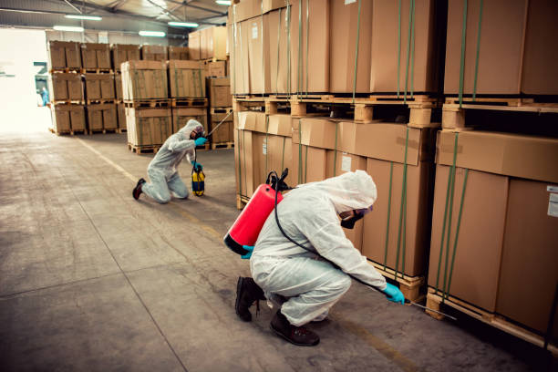 Trusted North Bennington, VT Pest Control Experts