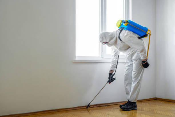 Flea Control Services in North Bennington, VT