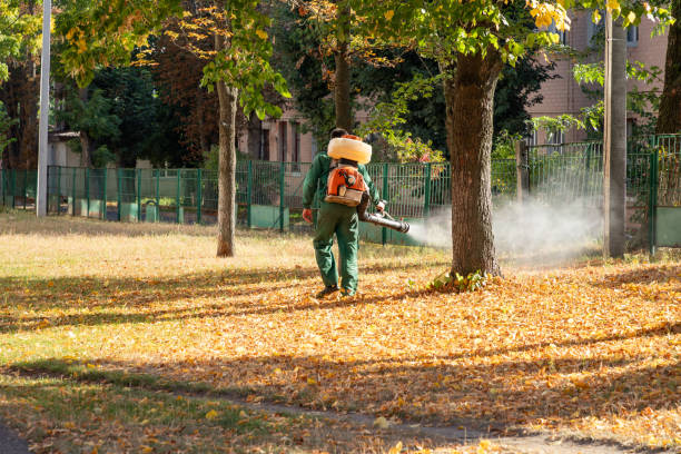 Bird Control in North Bennington, VT